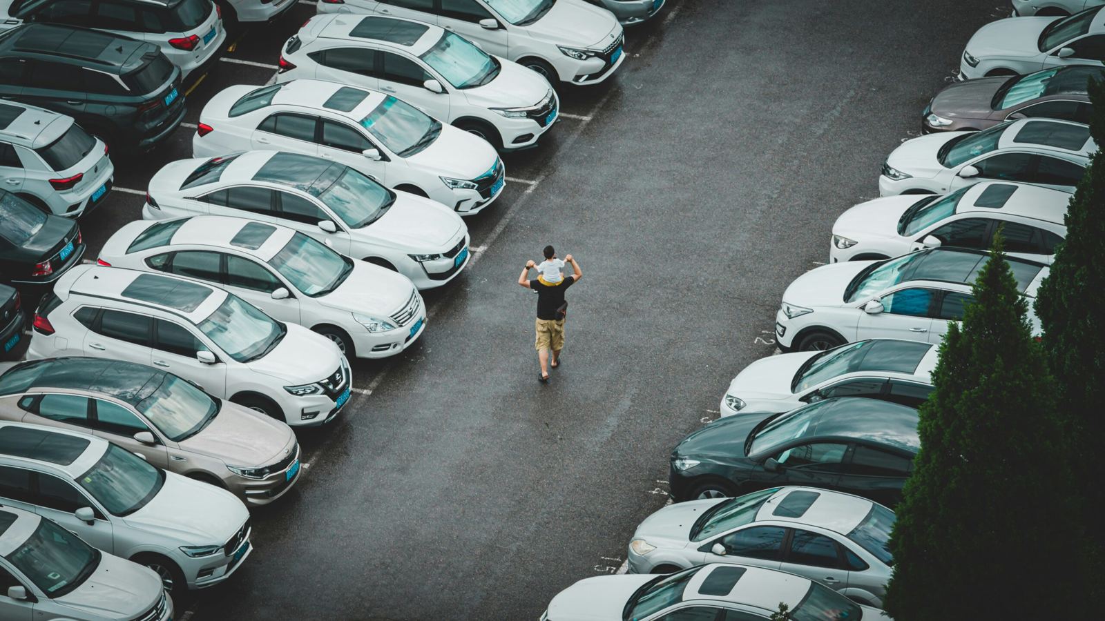 A lot full of cars